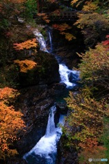 白濁流の紅葉渓谷