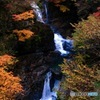 白濁流の紅葉渓谷