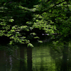 湖面