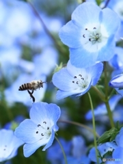 春は忙し
