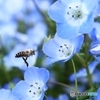 春は忙し