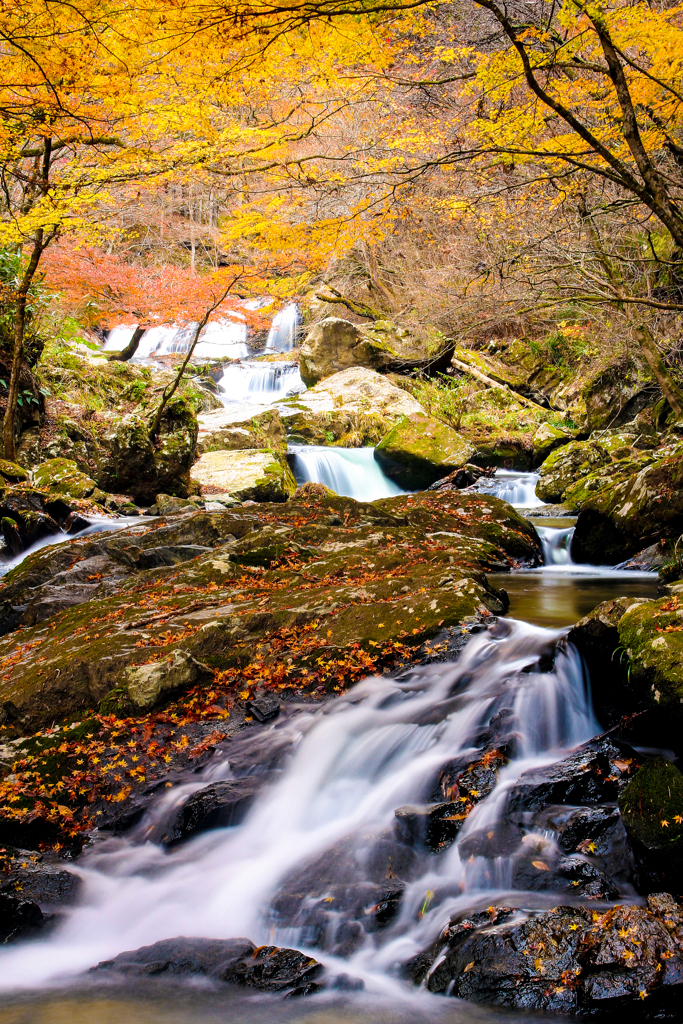 福島（鮫川村）の秋