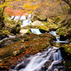 福島（鮫川村）の秋