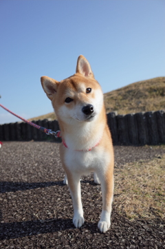 呼んだ？
