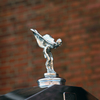 The spirit of Ecstasy 