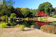 色彩