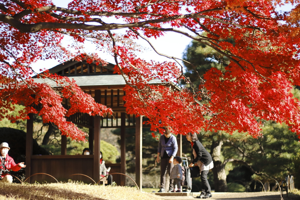 日本は美しく平和だ