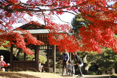 日本は美しく平和だ