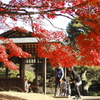 日本は美しく平和だ
