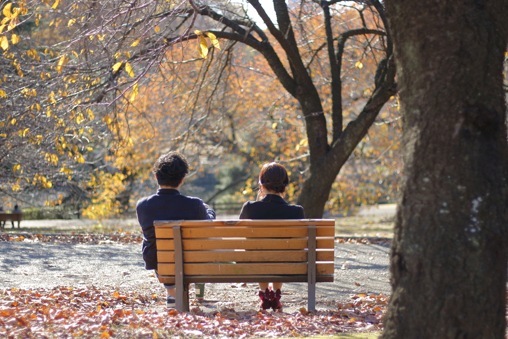 付き合いたてかな？