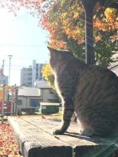 日向ぼっこ