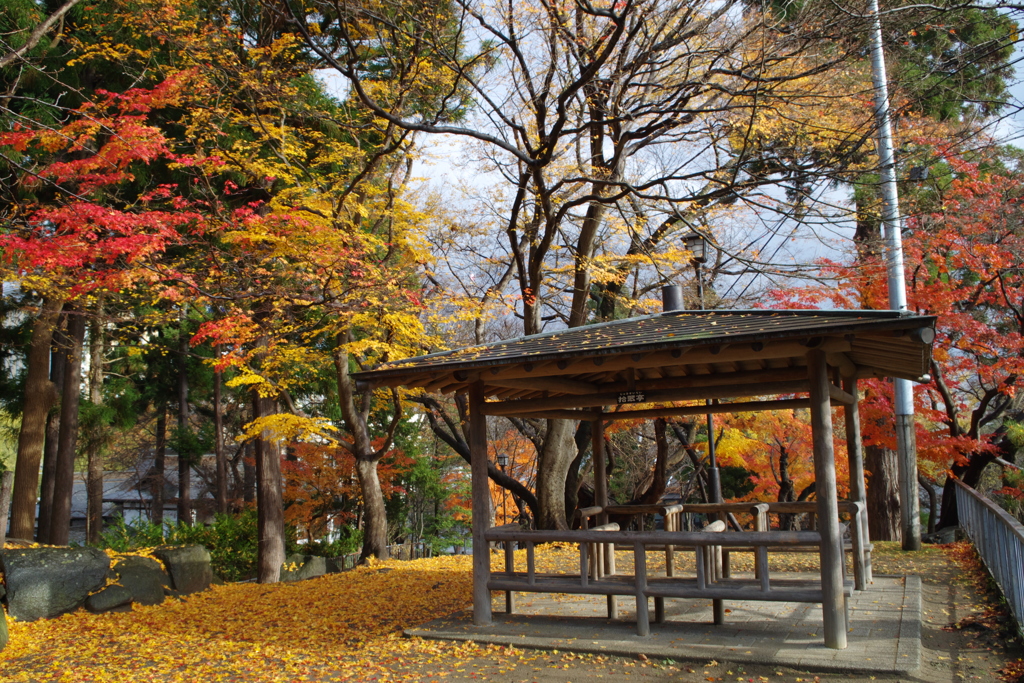 盛岡城跡にて①
