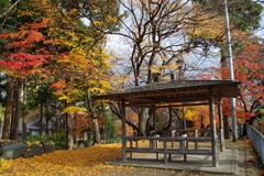 盛岡城跡にて①