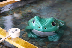 満願蛙