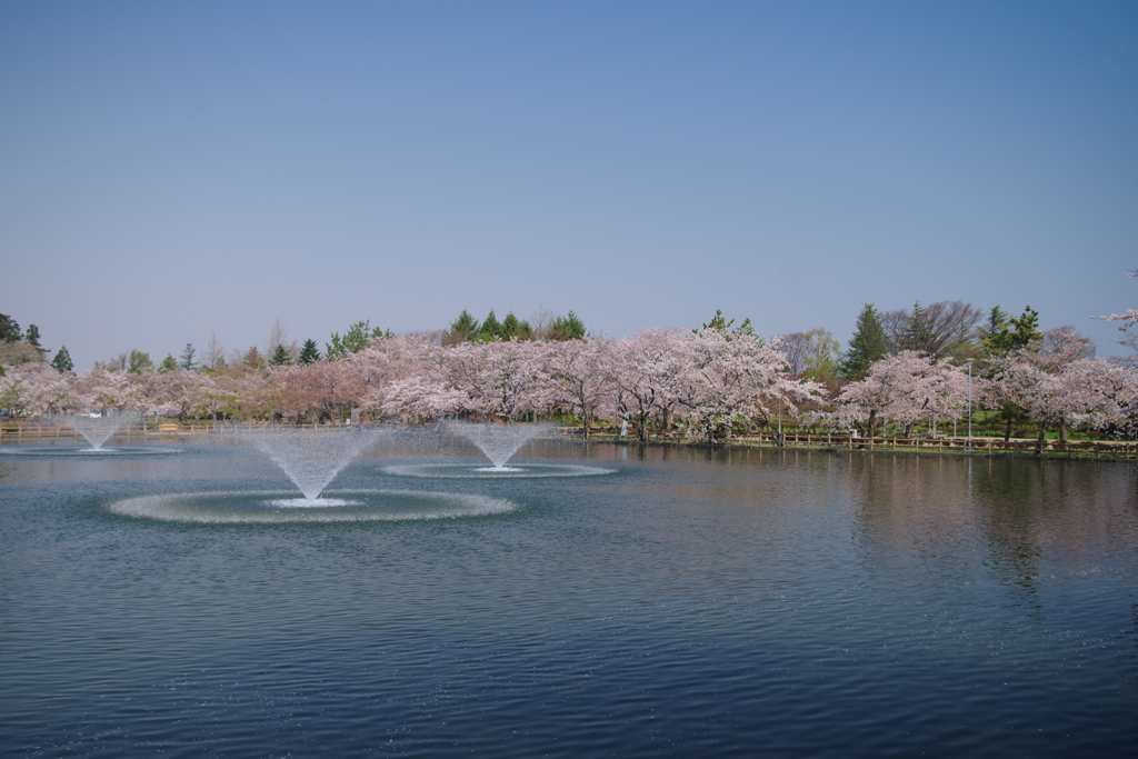 猿賀公園