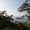 種差海岸②