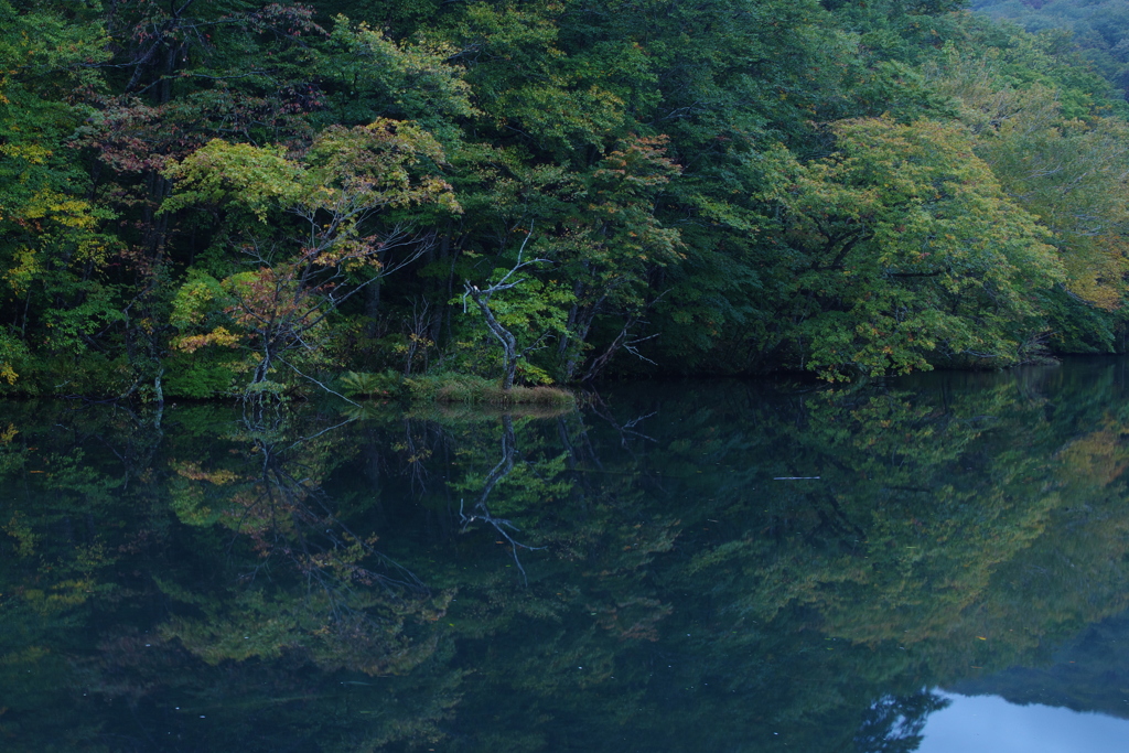 あちらの景色