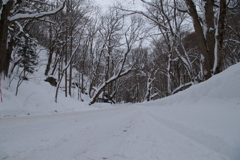 まっすぐ真っ白