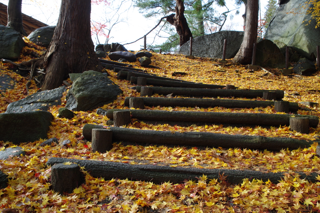 盛岡城跡にて②