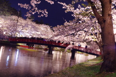 夜桜と橋