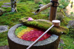 カラフル