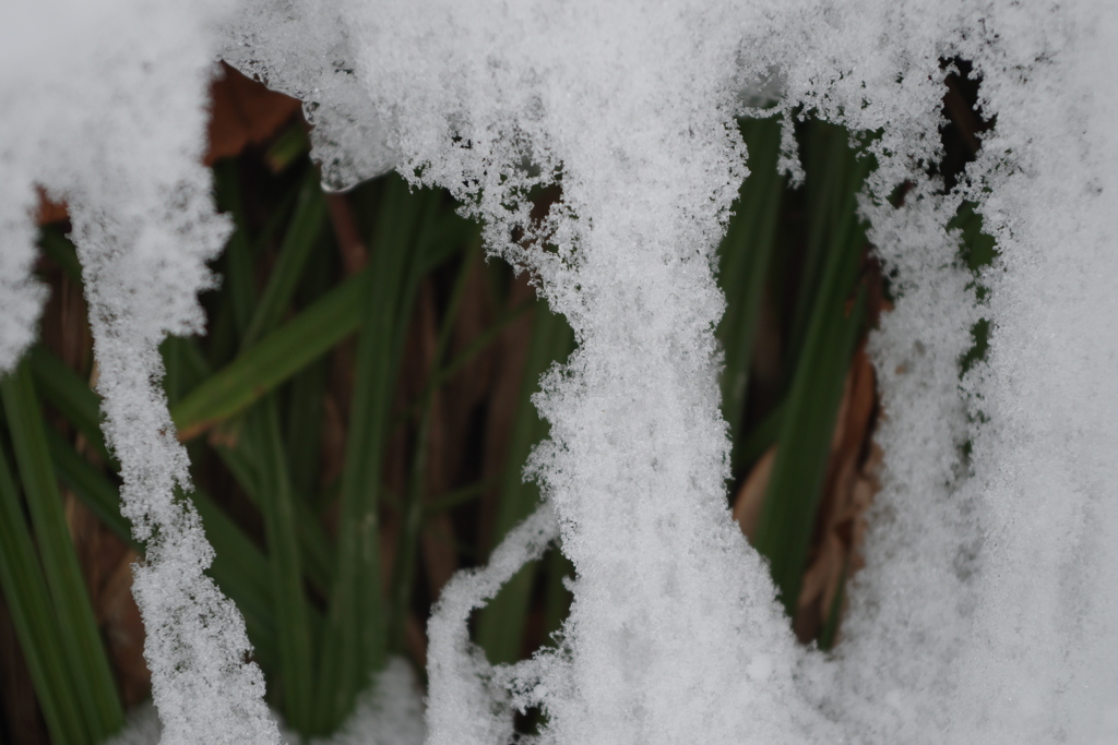 冬の奥入瀬渓流②