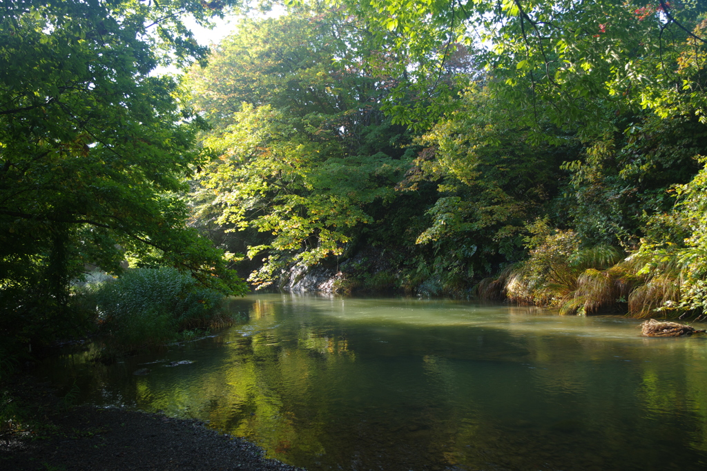 かわらない風景