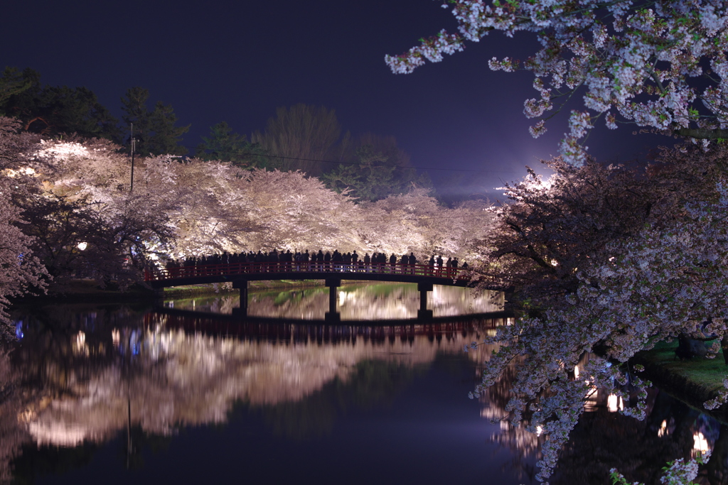 弘前桜祭り①