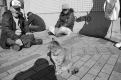休日の朝