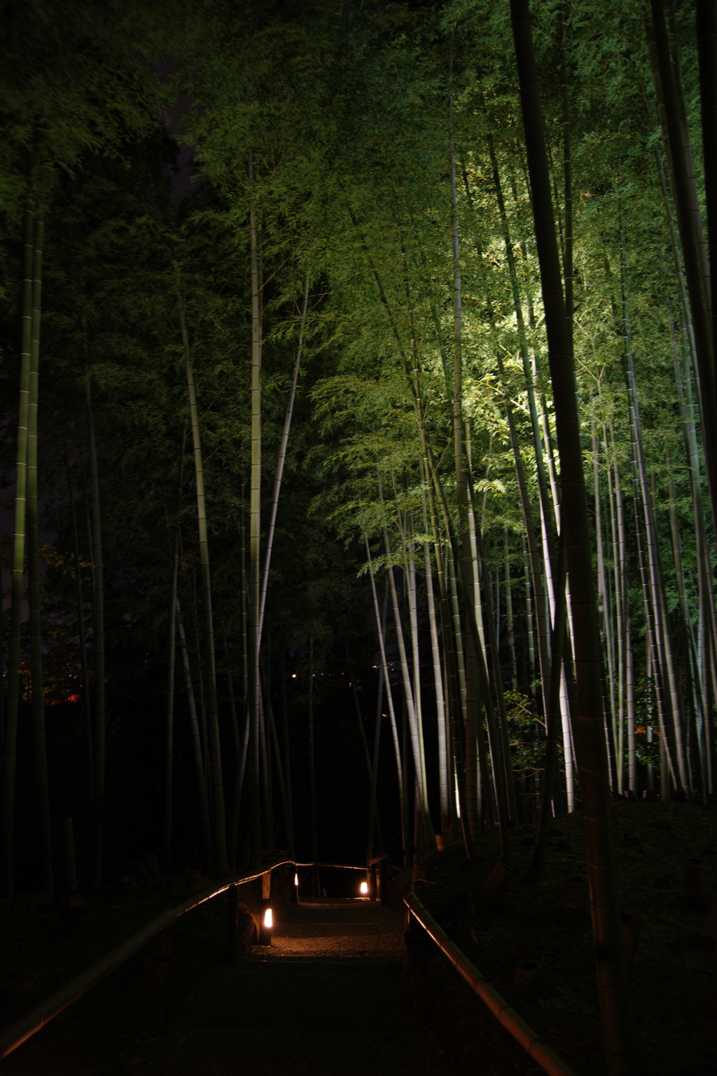 竹林