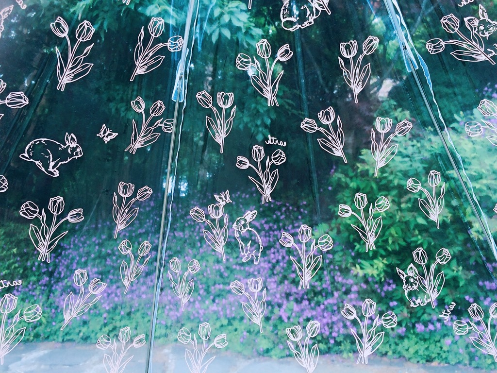 Umbrella