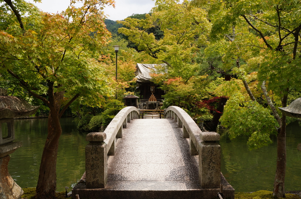 石の橋⁉︎