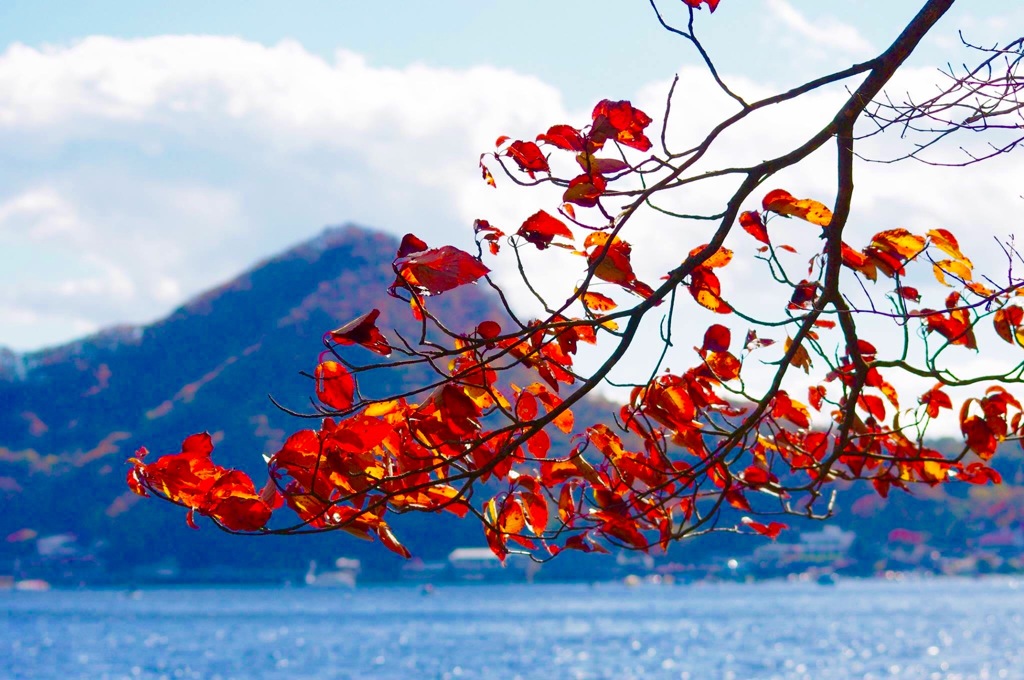 山と紅葉