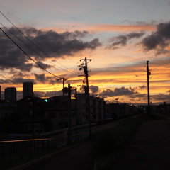 家に帰ろう
