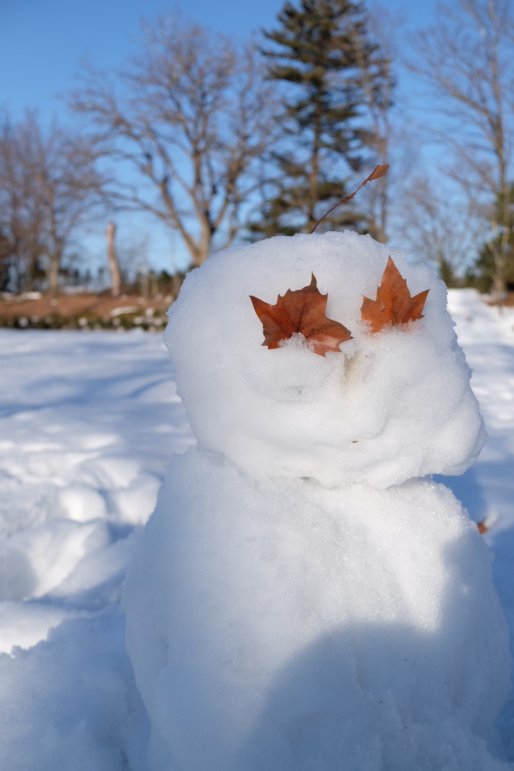 2月最後の雪だるま