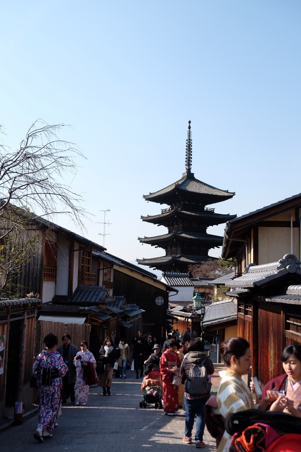 春の陽気感じる京都