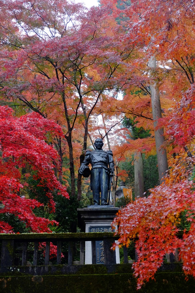 東郷さんと紅葉