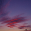 染まる雲