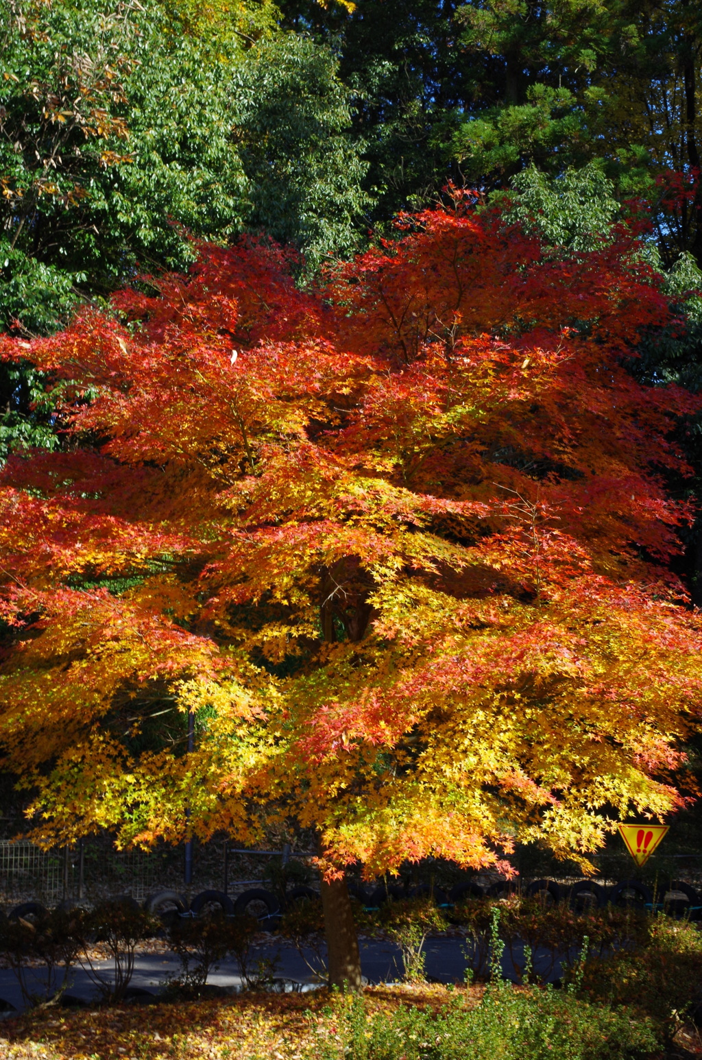 いきなり撮られてビックリ！！