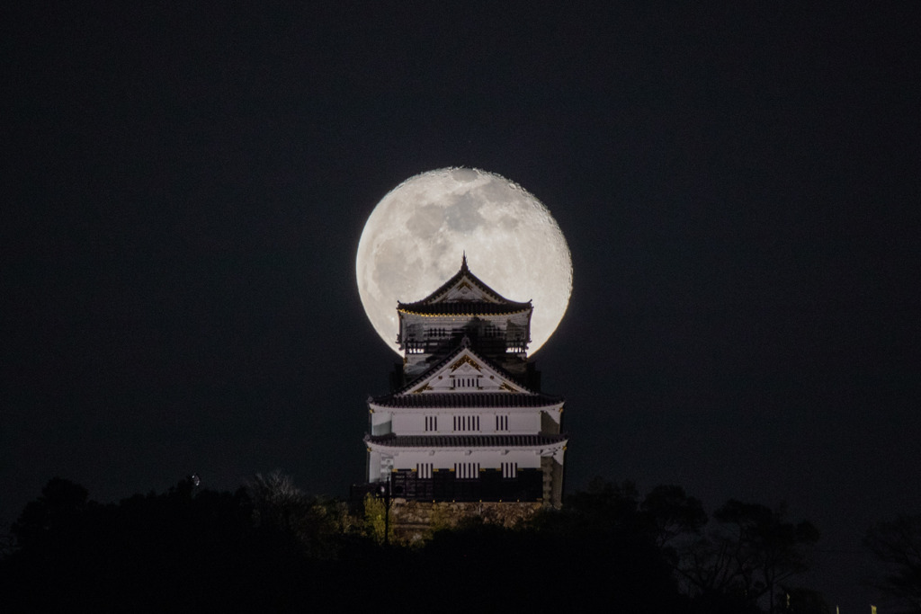 岐阜城と月