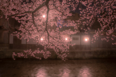 祇園白川の夜