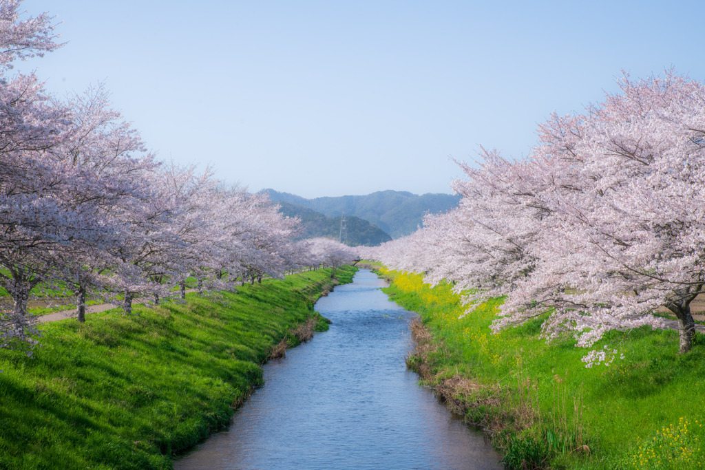 岐阜県山県市　鳥羽川サイクリングロード