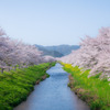 岐阜県山県市　鳥羽川サイクリングロード