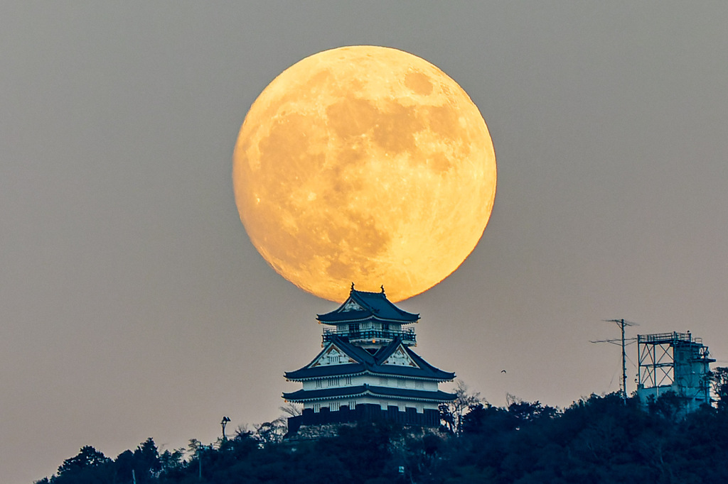 岐阜城と月