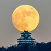 岐阜城と月