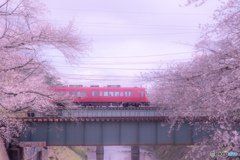 名鉄電車と桜