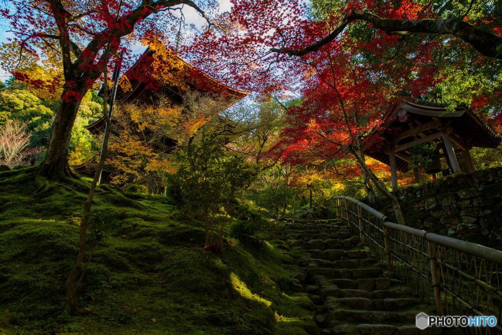 西明寺