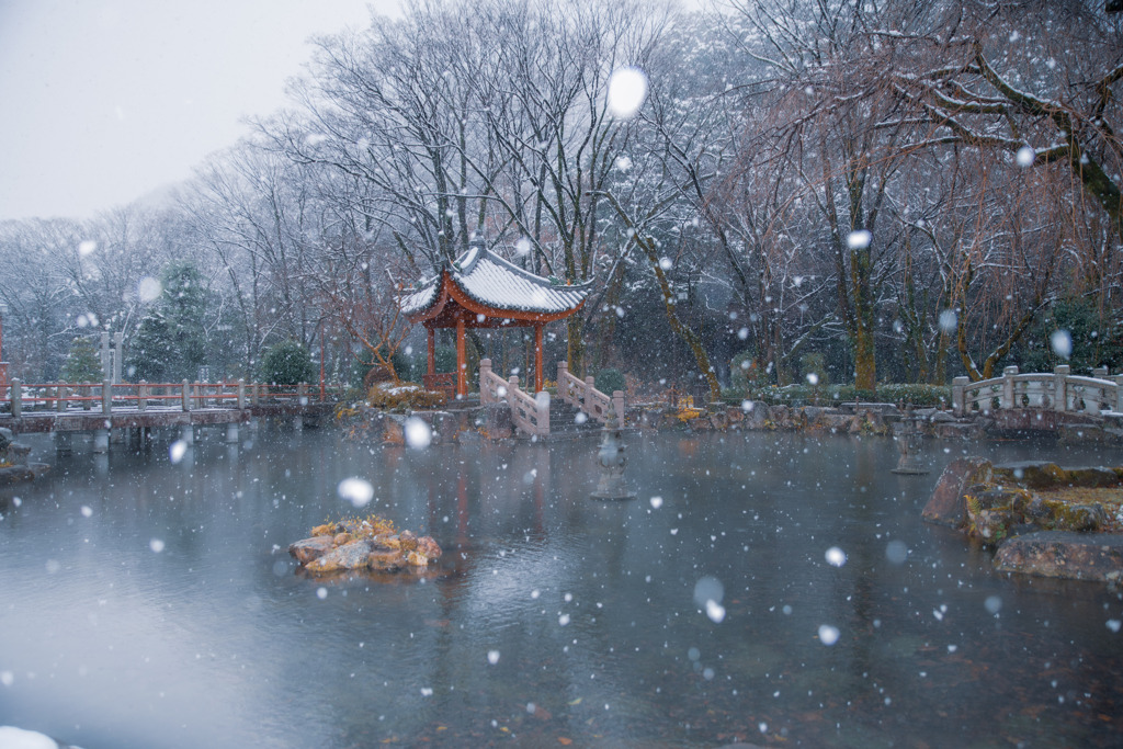 雪の日中友好庭園