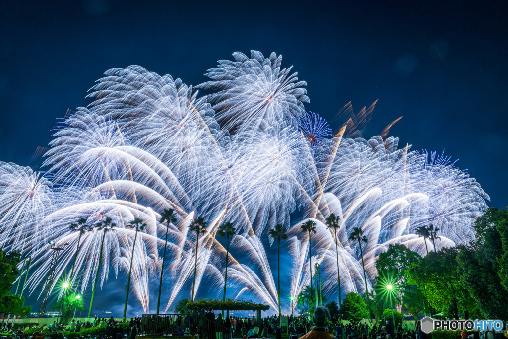 名港水上芸術花火2021