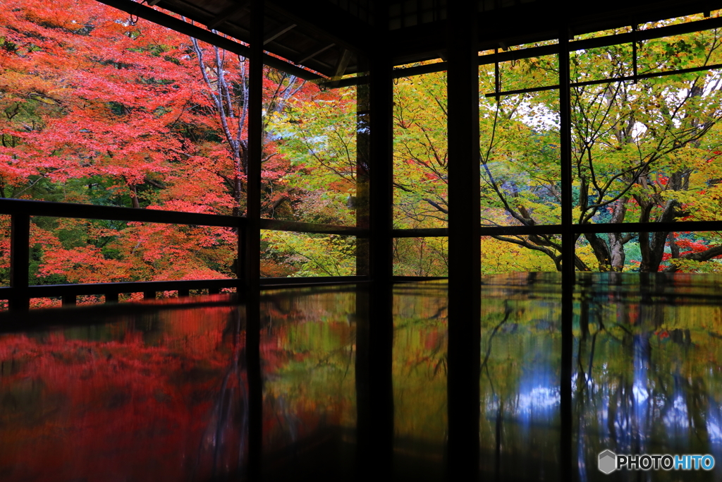 瑠璃光院